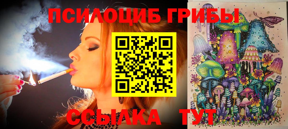 Сафоново  Псилоцибиновые грибы Psilocybine cubensis  Вход с VPN 